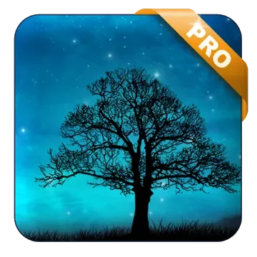 Dream Night Pro Live Wallpaper