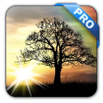 Sun Rise Pro Live Wallpaper